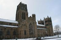 IMG_0941 (Large).JPG