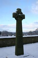 IMG_0946 (Large).JPG