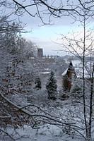 IMG_0983 (Large).JPG