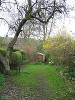 Picture 021w (Large).jpg