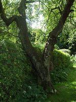 DSCF0155